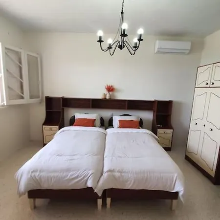 Wilga Summit C * Кала