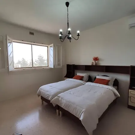 Wilga Summit C アパート *